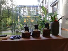 -九华山聚龙大酒店