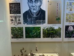 -广东中医药博物馆