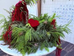 -沛家·食四季(小娄巷店)