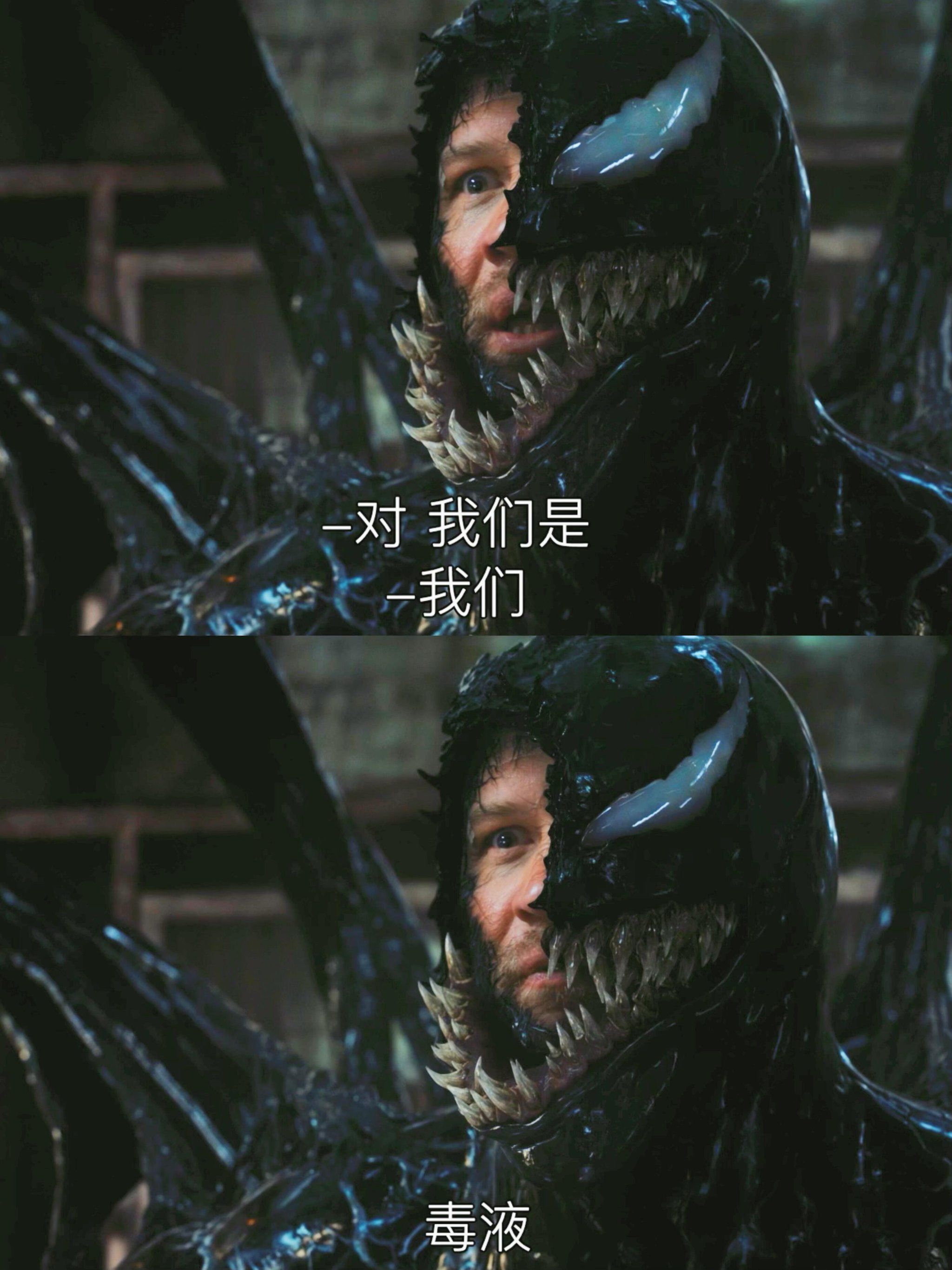 毒液这么可爱‼️这个be结局我意难平啊‼️