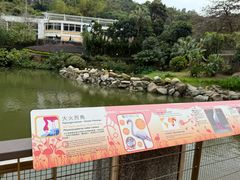 -石排湾郊野公园