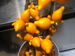 -植物学家的女儿(北马道巷店)