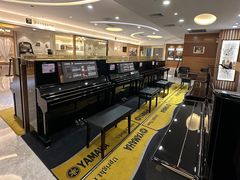 -知音艺术教育培训·钢琴培训·音乐培训(河西金鹰世界校区)