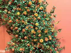 -好兄弟郭巨海鲜(天一阁店)