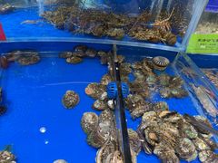 -天顺渔港·海景餐厅(星海广场店)