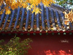 -护国法轮寺