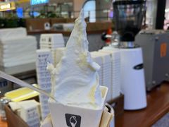 -野人先生Gelato(上海长宁龙之梦店)