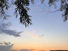 -丁香湖公园