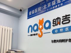 -纳吉亚猫专科动物诊疗中心(蒋宅口分院)