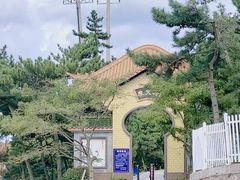 -摩天岭风景区