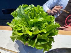 -杨记齐齐哈尔烤肉(总店)