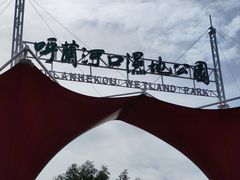 -呼兰河口湿地公园