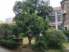 -大可堂普洱茶馆(襄阳南路馆)