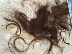 -SOLO Hair Salon