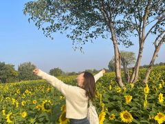 -汉长安城未央宫国家考古遗址公园