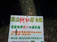 -吼山森林公园