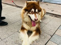 -黄兴南路步行商业街