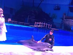 -华夏文旅海洋公园