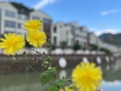 -花溪风景区