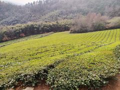 -敬亭山风景名胜区
