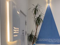 -Blueglass酸奶(上生新所店)