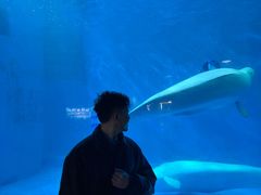 -海合安成都极地海洋公园