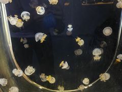 -嘉兴海底世界