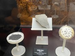 -河姆渡遗址博物馆