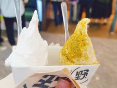 -野人先生现做冰淇淋(西安赛格店)