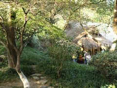 -中国茶叶博物馆(双峰馆区)