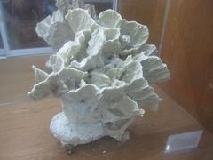 -南京金牛湖风景区