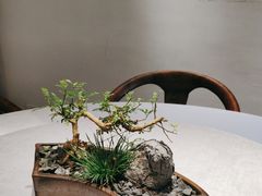 -翁暖茶馆(滨江东总店)