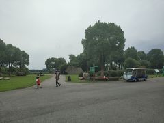-荷塘月色湿地公园·向阳花洲