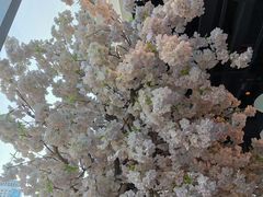 -翡翠江南(国贸商城店)
