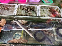 -贵州路便民市场