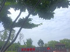 -金银湖国家城市湿地公园
