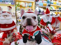 -爱妮康宠物医院·干细胞免疫细胞·肿瘤·心脏(张江店)