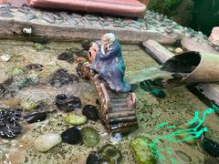 -丽江庭院之爱在路上(西单店)