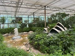 -南宫五洲植物乐园