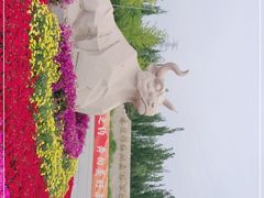 -永定河休闲森林公园