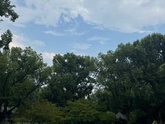 -申粤轩酒楼·三十年粤菜经典(丁香花园店)