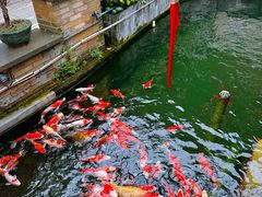 -顺德了能馆(虎门店)