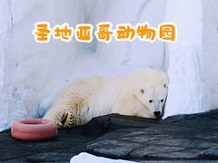 景点-圣地亚哥动物园