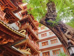 -大佛古寺