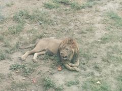 -新疆天山野生动物园