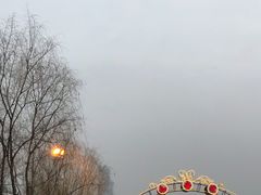 -武汉知音号