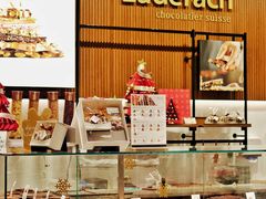 -Laderach 莱德拉(上海环贸iapm店)