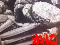 -蟹道乐(道顿堀本店)