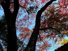 -青岛崂山太清宫