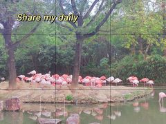 -上海野生动物园